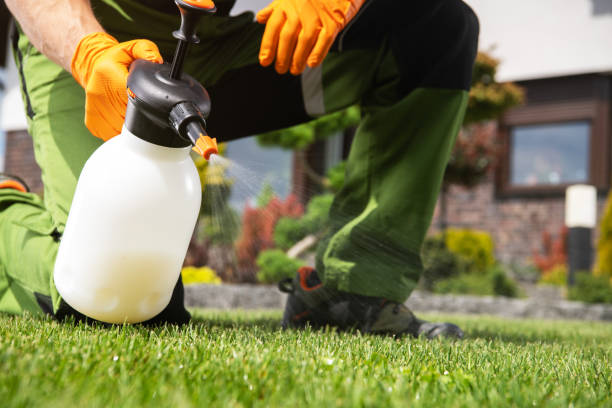 Best Pest Prevention Services  in Luckey, OH