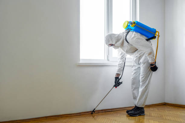 Best Bed Bug Extermination  in Luckey, OH
