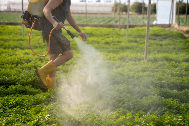 Best Affordable Pest Control Services  in Luckey, OH